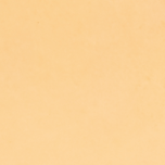 Sahara